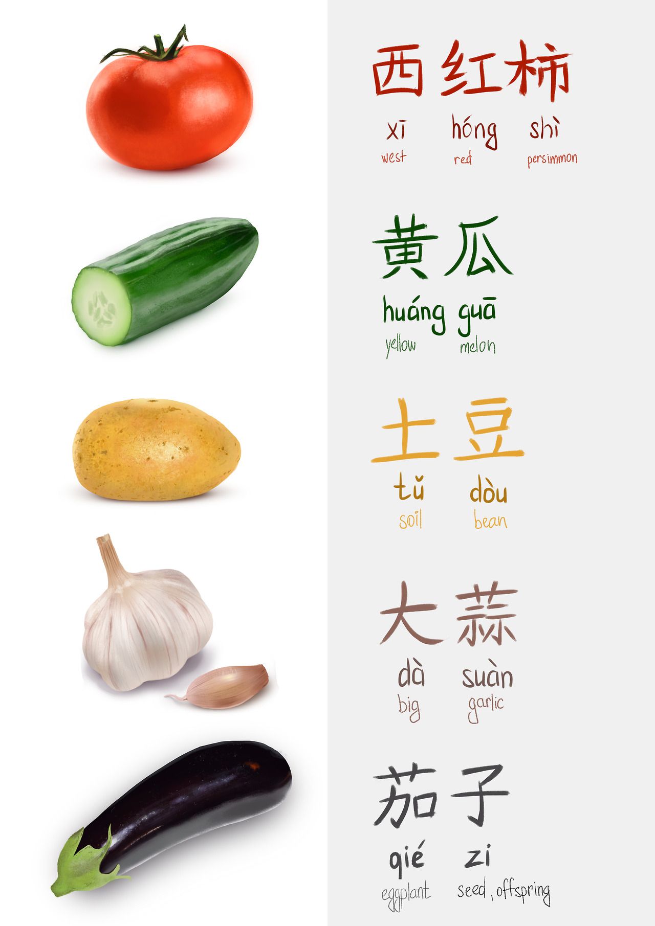 1280x1811 double study drawing veggies from photos and their translation - Mandarin Drawing