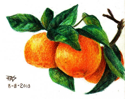 520x409 how to draw tangerines with colored pencils feltmagnet - Mandarin Orange Drawing