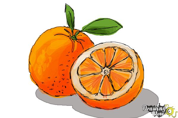 600x400 how to draw an orange - Mandarin Orange Drawing