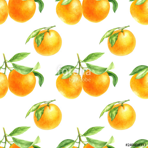 500x500 orange tangerine drawing in watercolor stock photo and royalty - Mandarin Orange Drawing