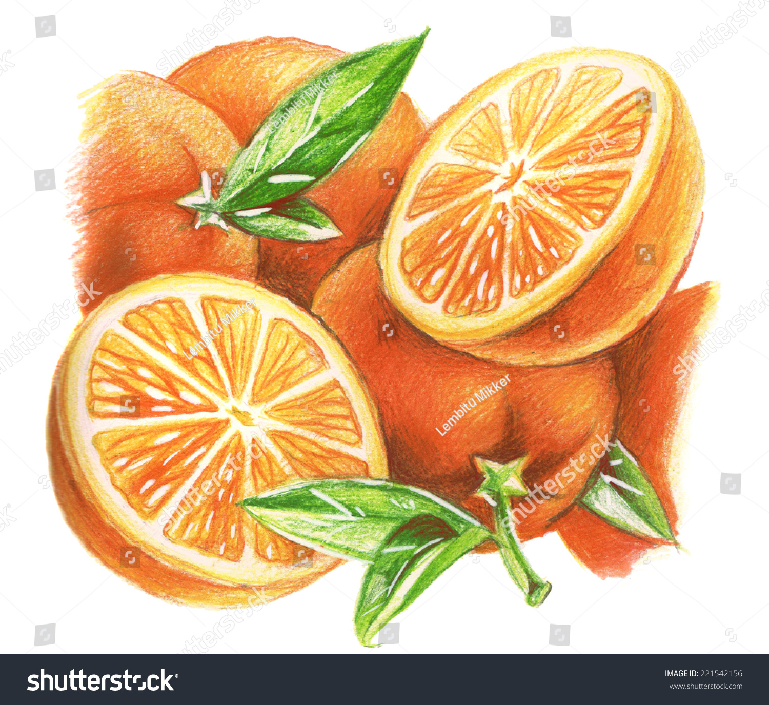 Картинки апельсина в разрезе нарисованные
