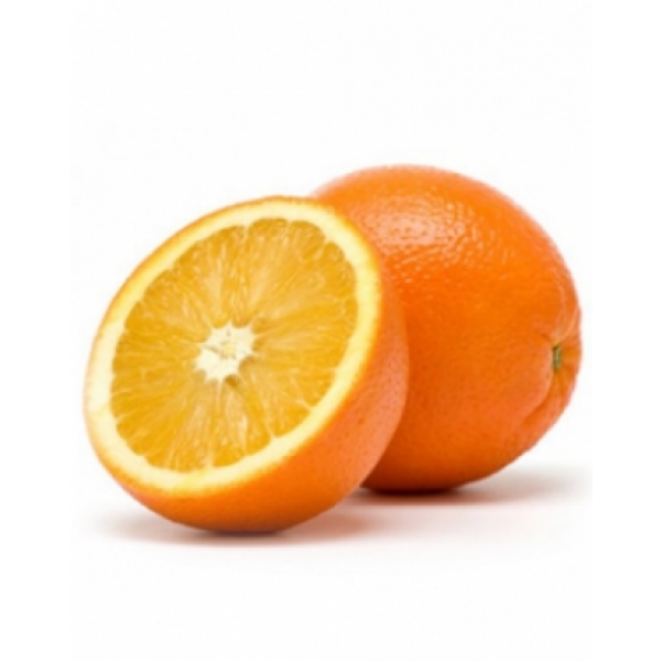 600x600 garbage drawing mandarin orange transparent png clipart free - Mandarin Orange Drawing