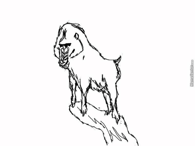 800x600 Mandrill Drawing - Mandrill Drawing