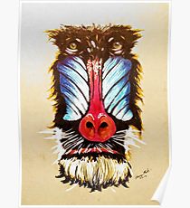 210x230 Mandrill Drawing Posters Redbubble - Mandrill Drawing