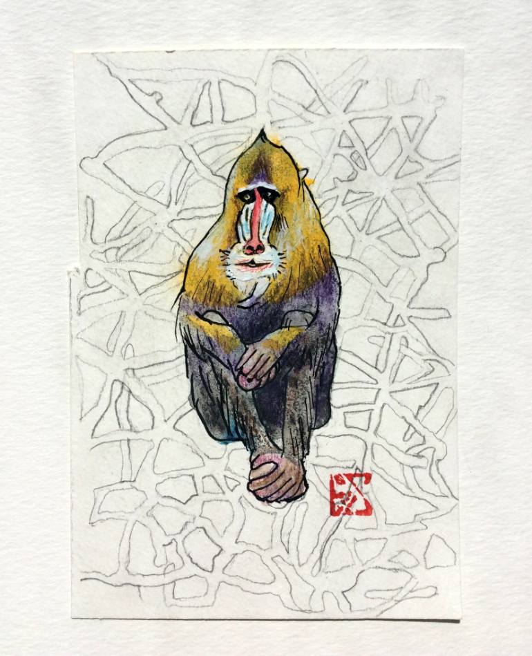 770x949 Mandrill Drawing - Mandrill Drawing