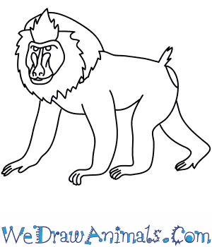 300x350 how to draw a drill - Mandrill Drawing