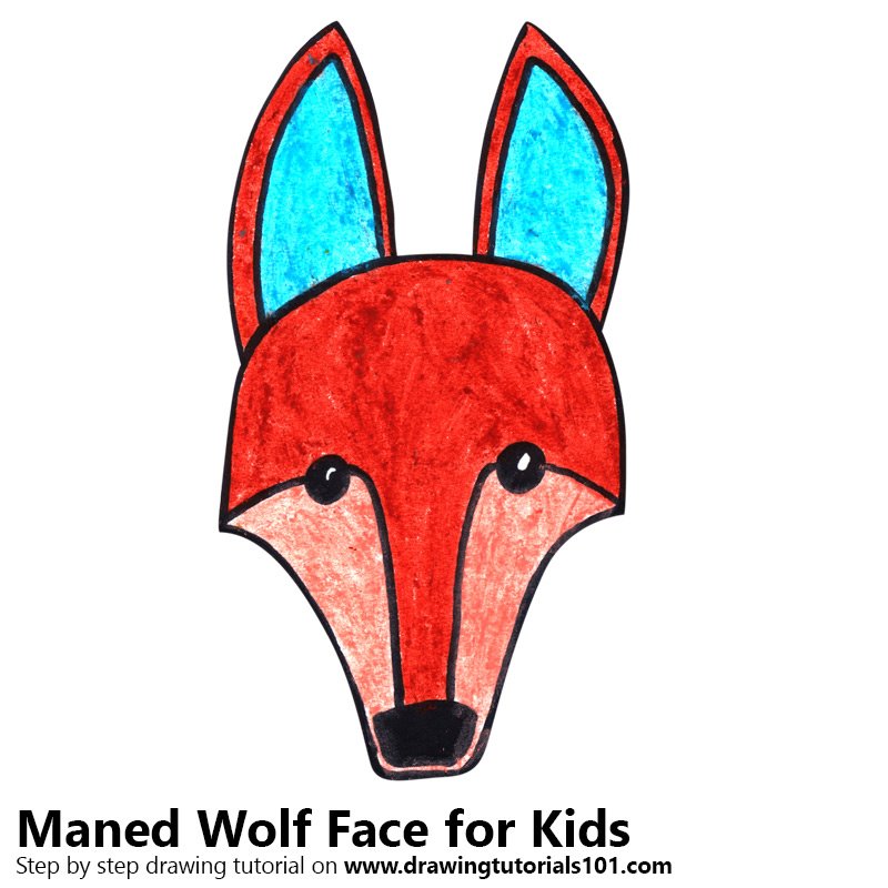 800x800 Learn How To Draw A Maned Wolf Face For Kids - Maned Wolf Drawing