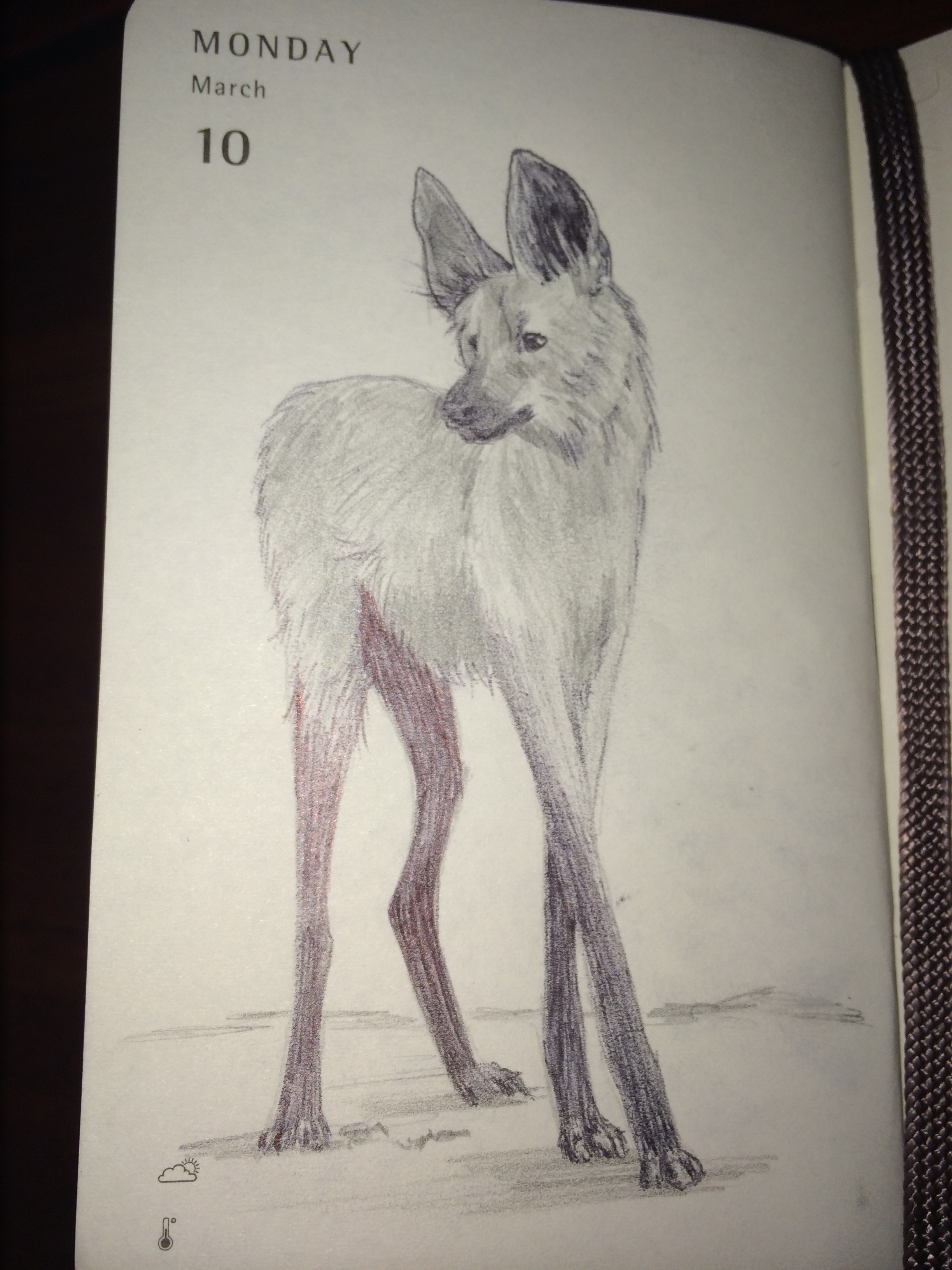 2448x3264 Mnaitodesigns Keeping It As Real As Possible, One Drawing - Maned Wolf Drawing