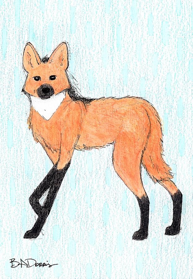 622x900 Maned Wolf Drawing - Maned Wolf Drawing