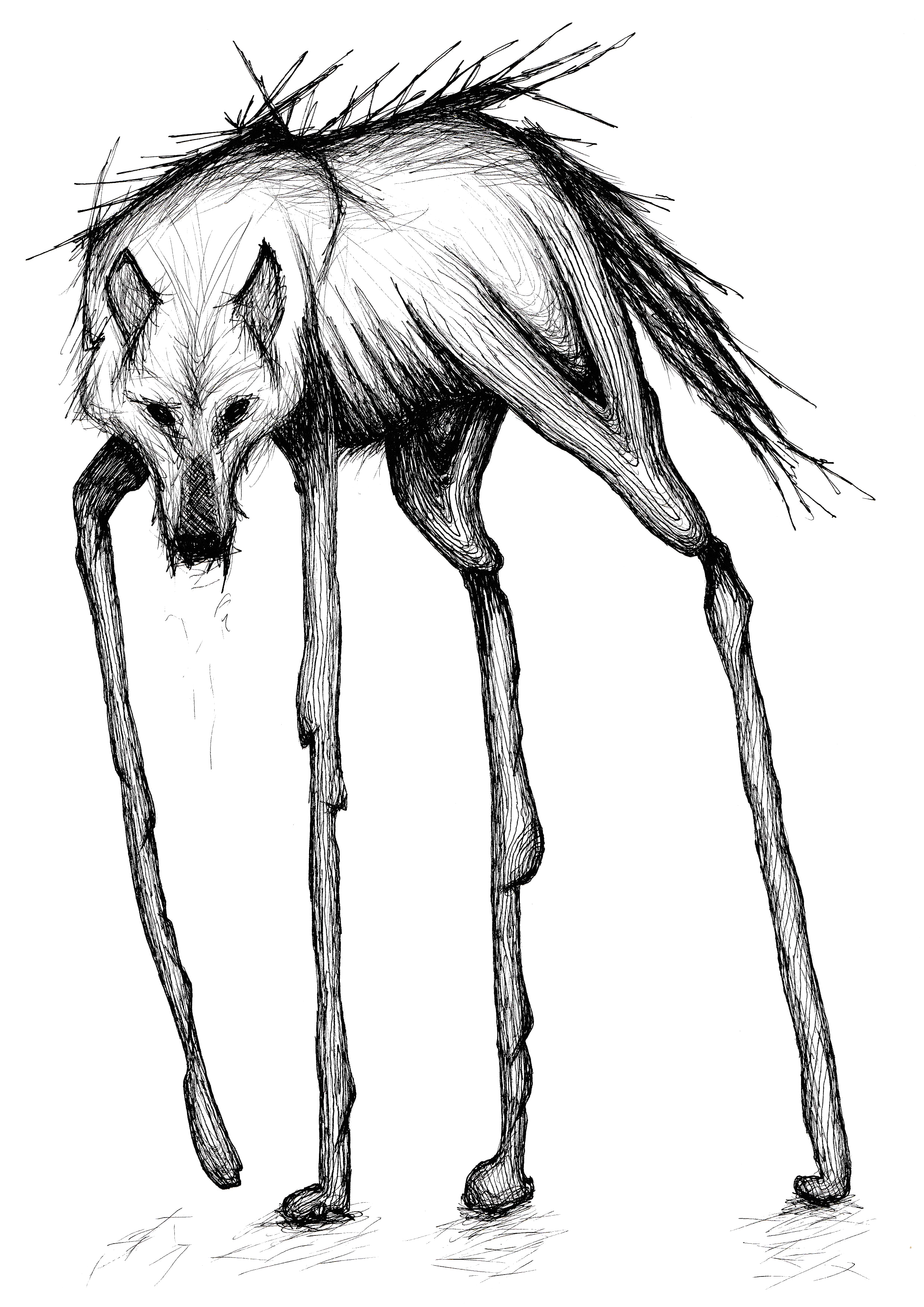 2480x3507 Maned Wolf On Its Tippy Toes, Done - Maned Wolf Drawing