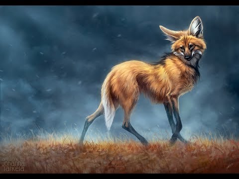 480x360 Painting Time Lapse - Maned Wolf Drawing