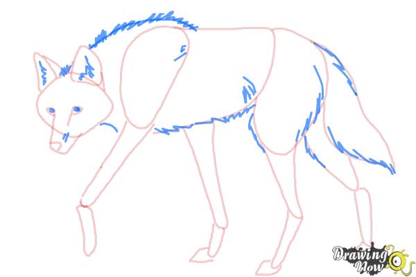 600x400 How To Draw A Wolf - Maned Wolf Drawing