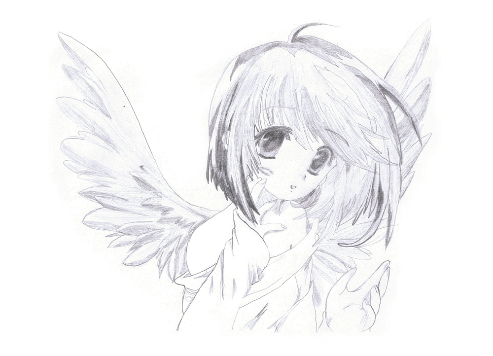 Manga Angel Drawing