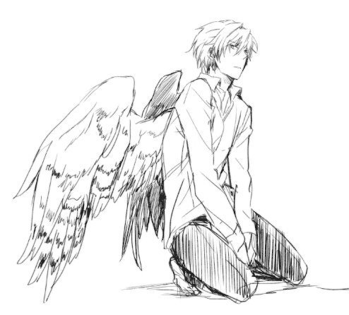 494x446 Image About Boy In Anime - Manga Angel Drawing