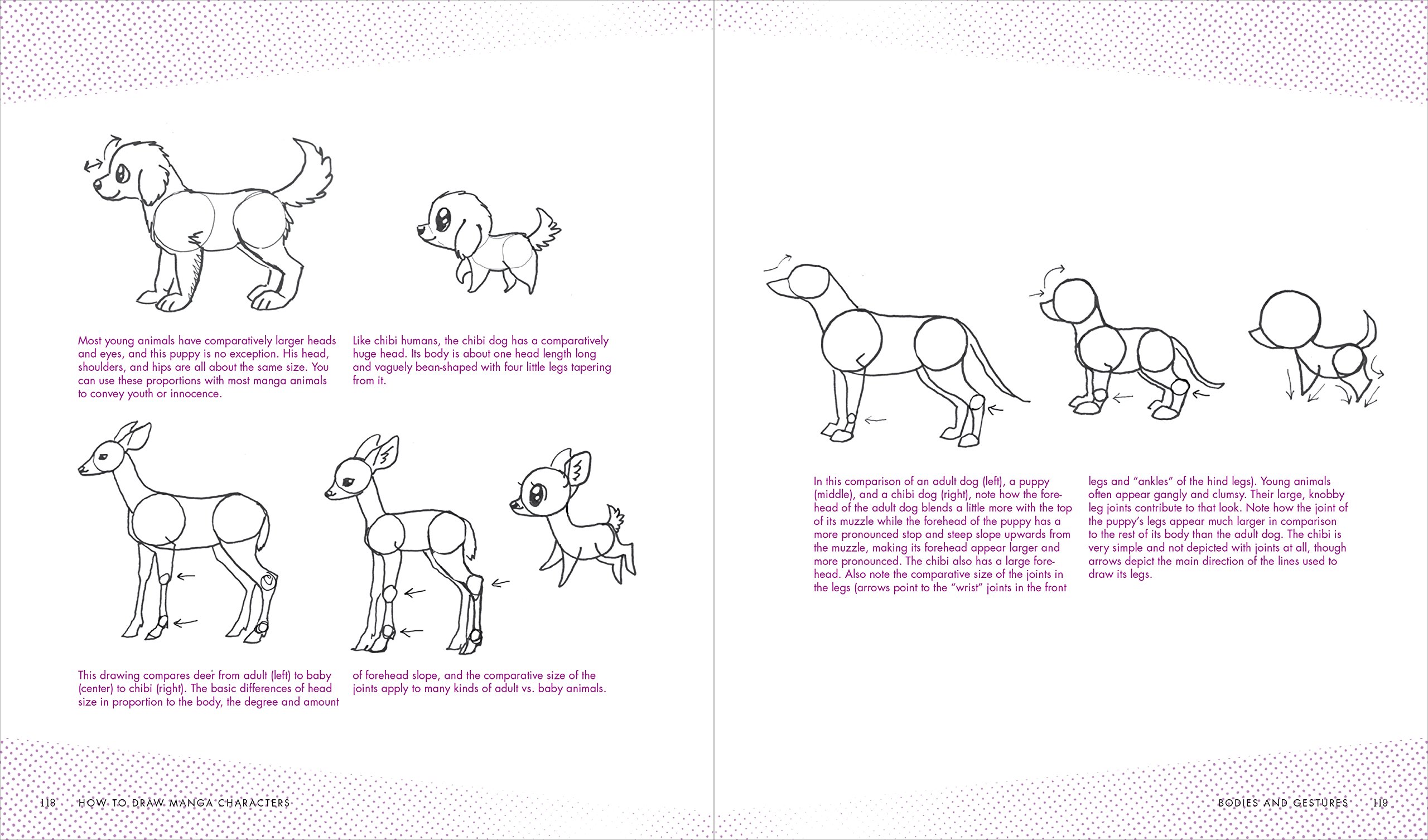 2560x1506 How To Draw Manga Characters A Beginner's Guide J C Amberlyn - Manga Animals Drawing