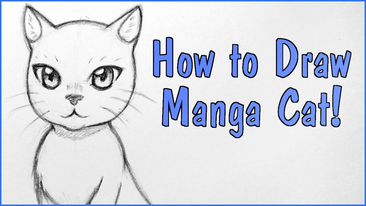 1280x720 How To Draw A Manga Cat! - Manga Animals Drawing