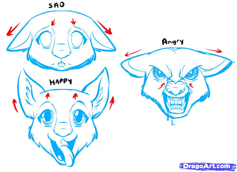 971x704 How To Draw An Anime Dog, Anime Dog, Step - Manga Animals Drawing