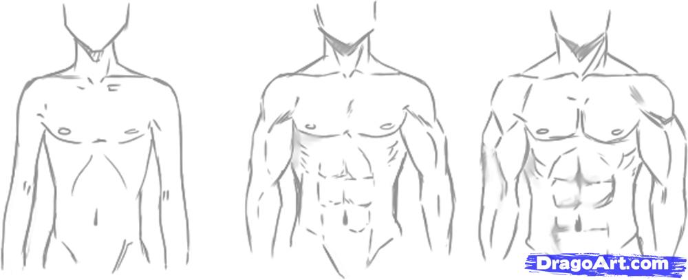 1000x407 How To Draw Manga Males, Draw Anime Males, Step - Manga Body Drawing