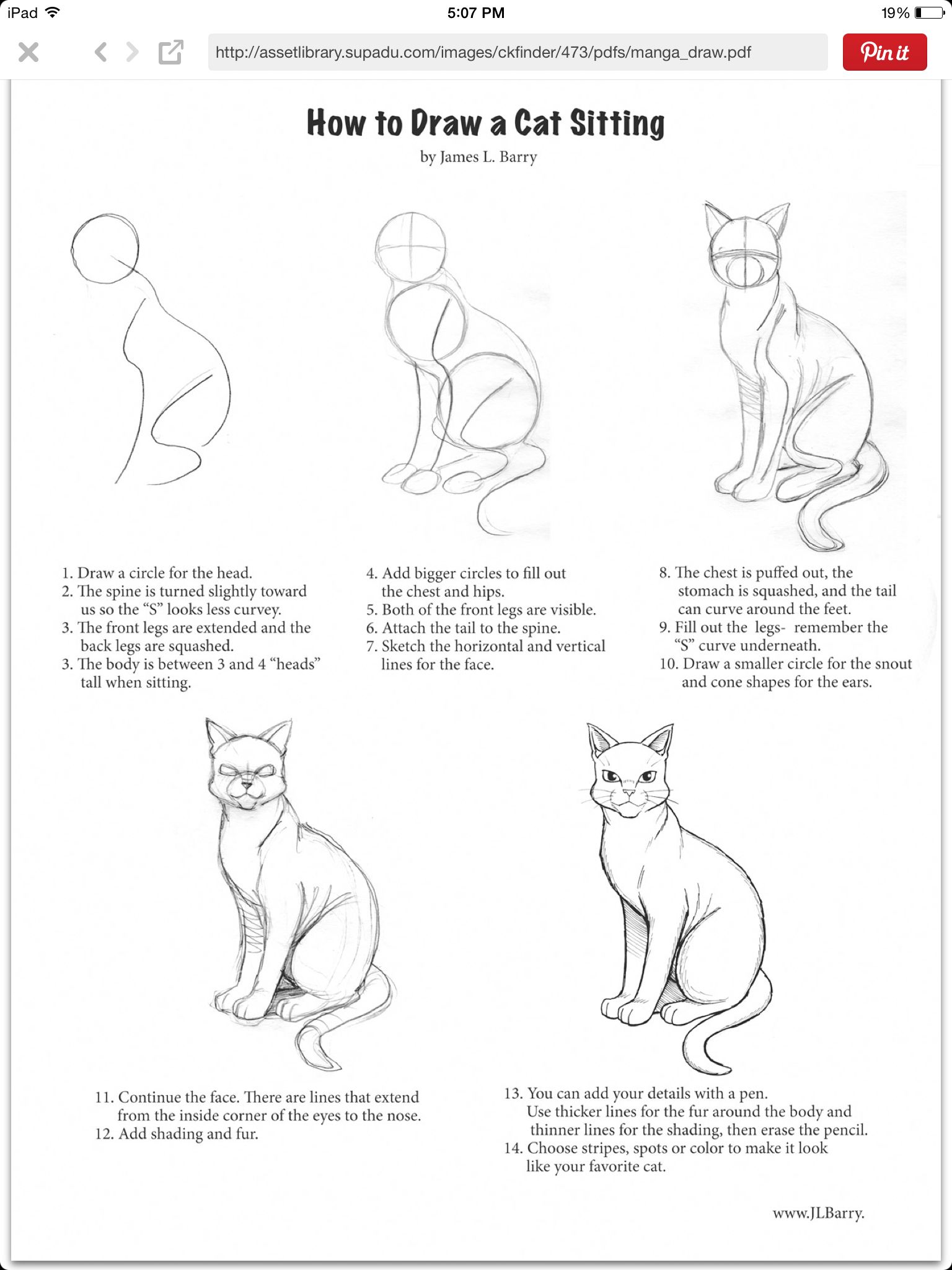 1536x2048 this is how to draw a manga warriors cat sitting! dreaming - Manga Cat Drawing
