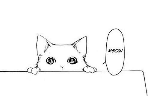 494x323 Cat Pretty Beauty Drawing Illustration Art Cute Adorable Black - Manga Cat Drawing