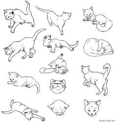 236x248 Manga Cat - Manga Cat Drawing