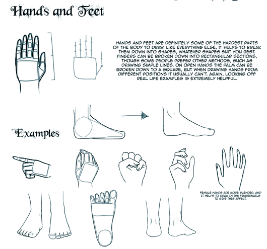 530x495 The Big Guide To Drawing Manga - Manga Drawing Step By Step