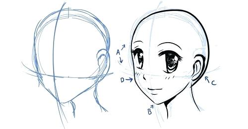 500x260 How To Draw Manga Step - Manga Head Drawing