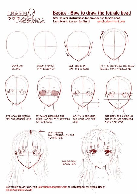 452x640 Anime Anatomy Basic Drawing Tutorial Japanese Anime Art My - Manga Head Drawing