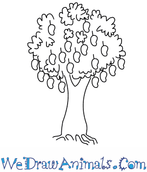 300x350 how to draw a mango tree - Mango Drawing