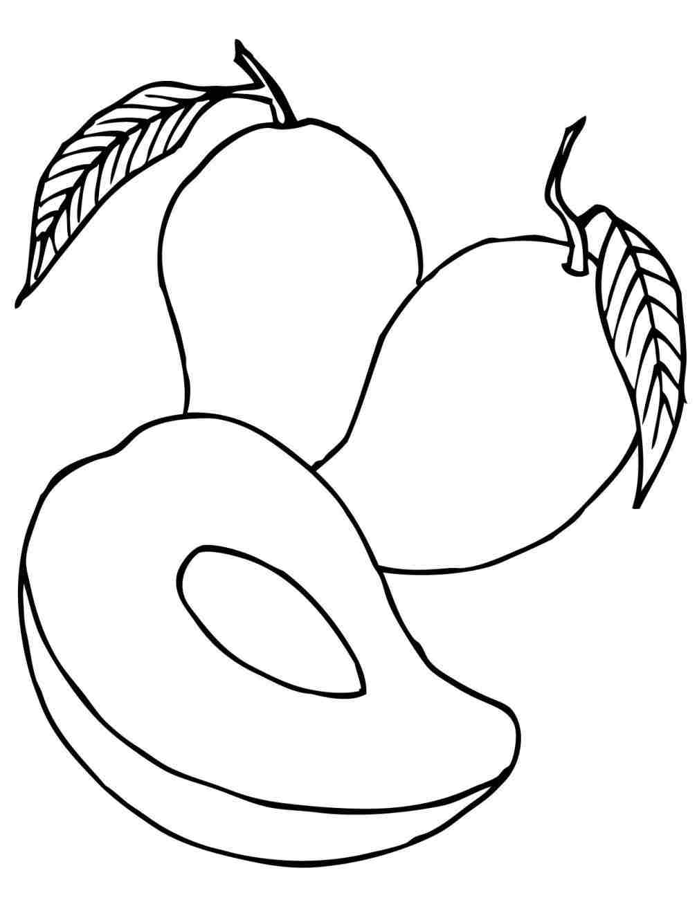 1007x1304 free mango clipart drawing, download free clip art - Mango Drawing