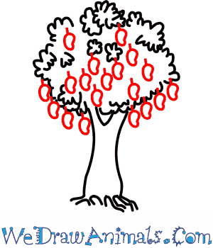 300x350 How To Draw A Mango Tree - Mango Drawing For Kid