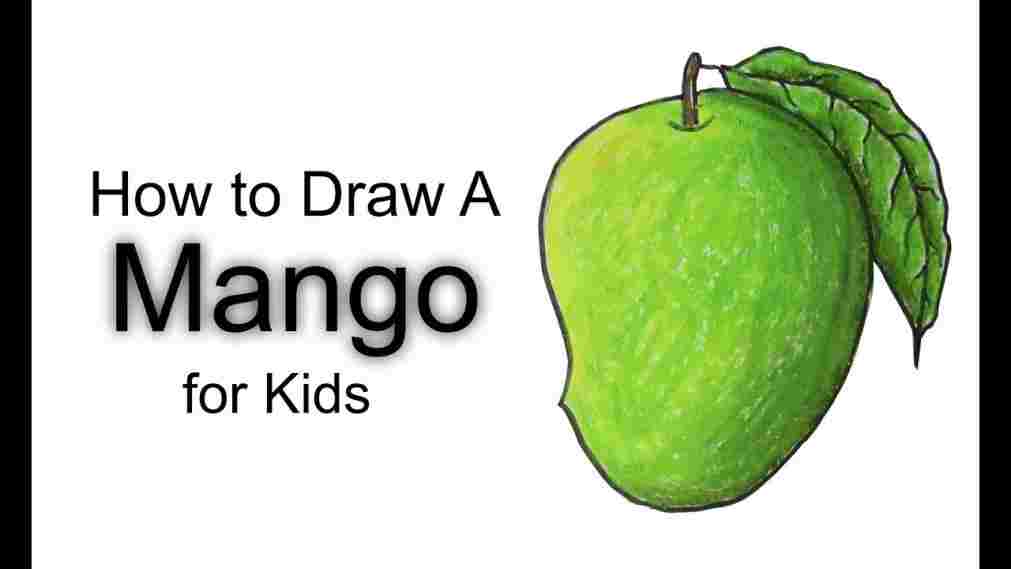 1011x569 Mango Drawing For Kid - Mango Drawing For Kid