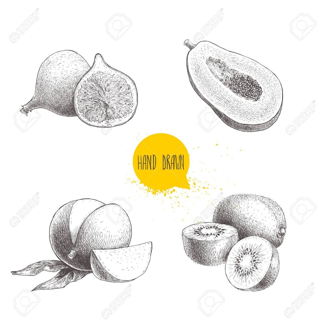 1300x1300 Mango Drawing For Kids Papaya Clipart Coloring Pencil - Mango Drawing For Kid