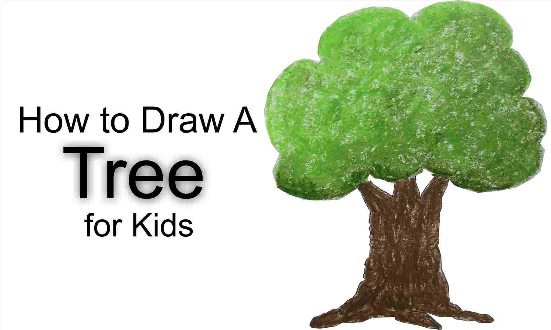 1899x1139 Pencil Pencil Drawing Mango Tree Sketch Of Mango Tree Drawing - Mango Drawing For Kid