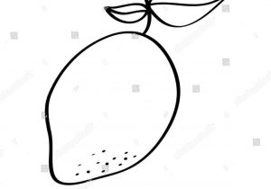 300x210 Drawing Mango - Mango Drawing For Kid