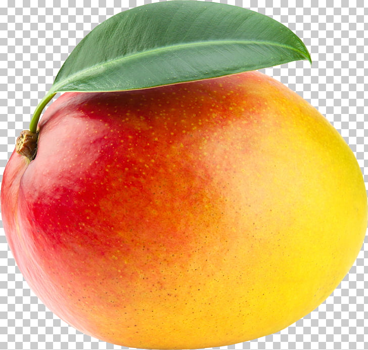 728x691 juice salsa mango drawing fruit, juice png clipart free cliparts - Mango Drawing Picture