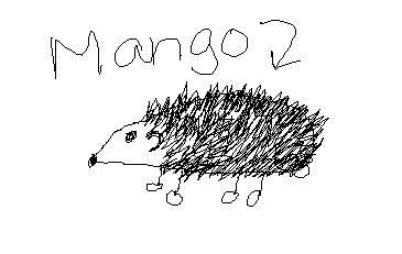365x231 Mango Drawing Amanda Younger - Mango Drawing Picture