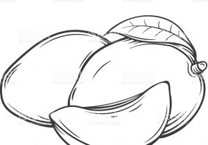 300x210 sketch of a mango pencil sketch of mango - Mango Drawing Picture