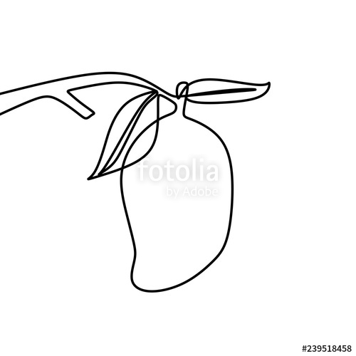 500x500 Mango One Line Drawing Vector Illustration Continuous Lineart - Mango Drawing Picture
