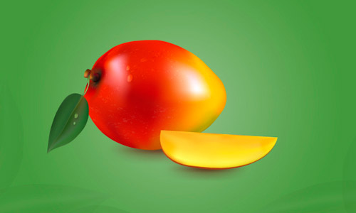 500x300 Illustrator Tutorial Draw A Realistic Mango With The Mesh Tool - Mango Images For Drawing