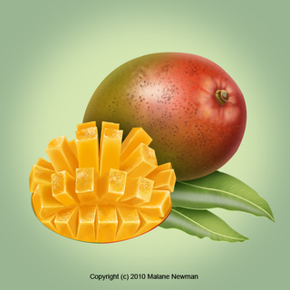 320x320 Mangos Drawings On Paigeeworld Pictures Of Mangos - Mango Images For Drawing