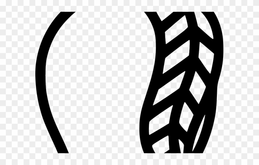 880x560 Mango Clipart Individual Fruit - Mango Line Drawing