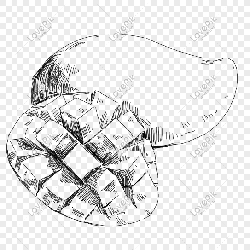 860x860 Line Drawing Mango Hand Drawn Illustration Imagen Descargar Prf - Mango Line Drawing