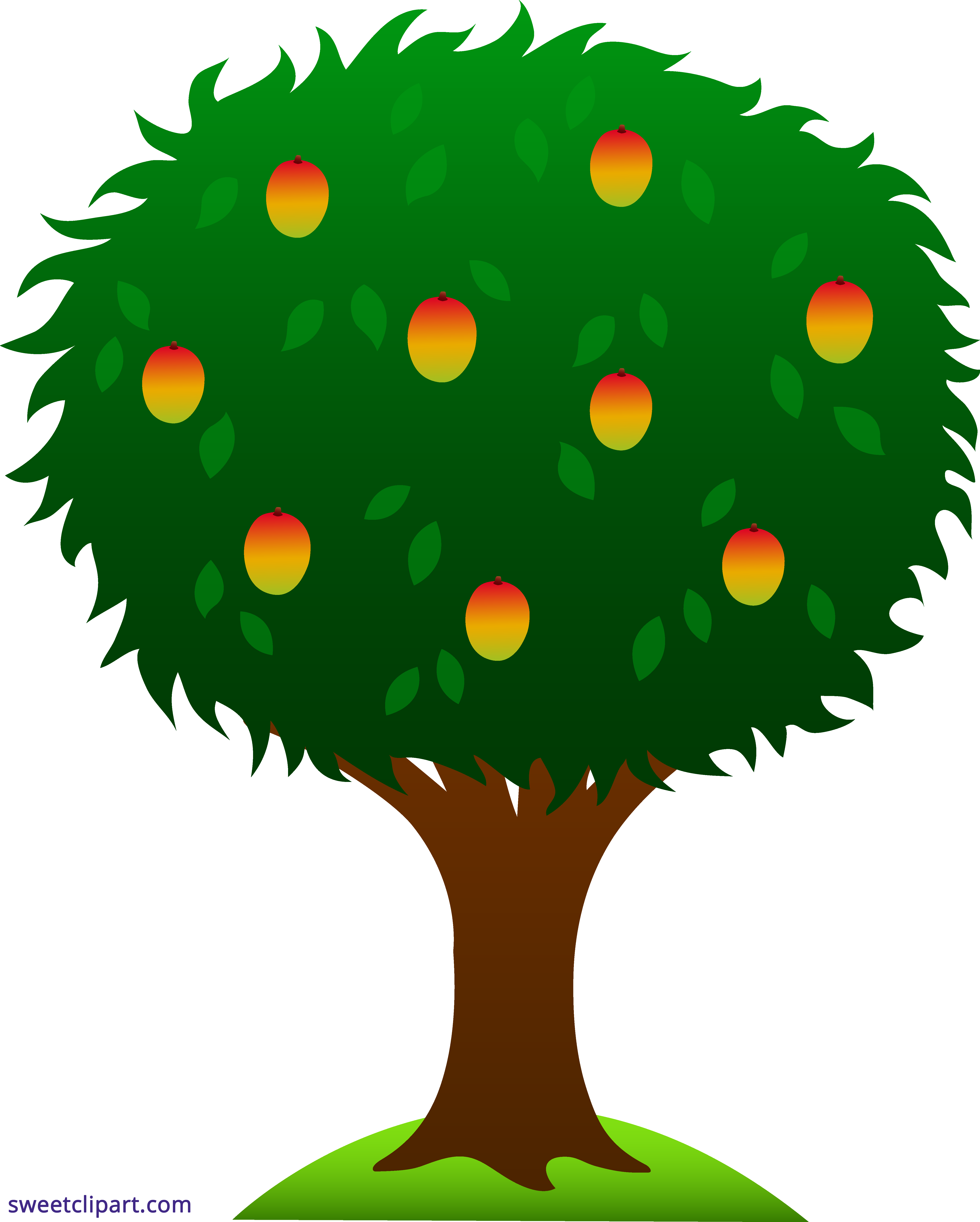 5178x6456 Growth Drawing Mango Tree Transparent Png Clipart Free Download - Mango Tree Drawing