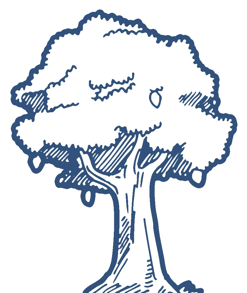 864x1026 How To Draw Mango Tree How To Drawing Mang - Mango Tree Drawing