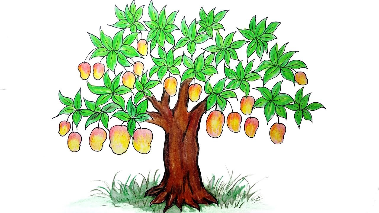 Animal Mango Tree Sketch Drawing with simple drawing