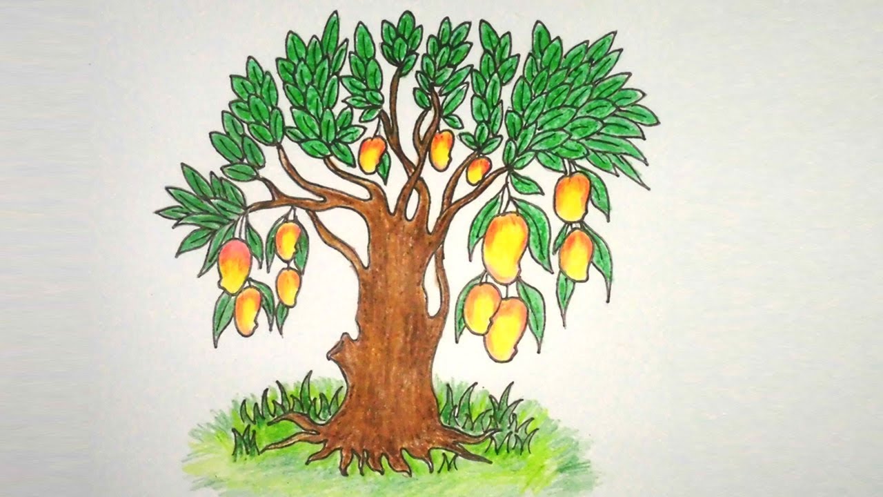 1280x720 How To Drawing Mango Tree Step - Mango Tree Drawing