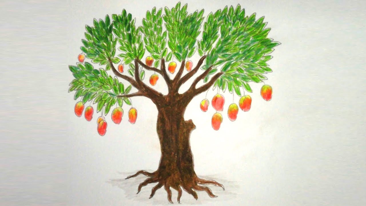  Mango Tree Drawing at PaintingValley.com Explore collection of Mango 