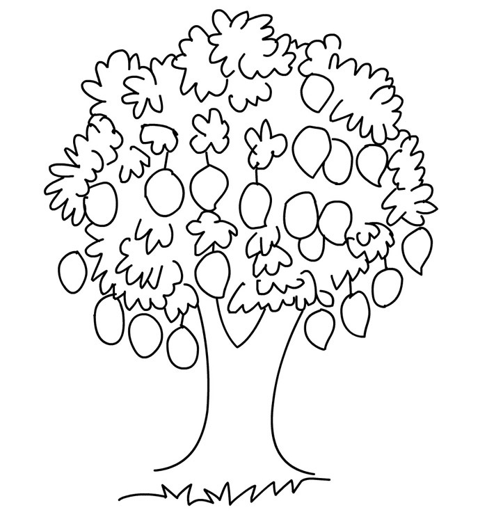 Featured image of post Mango Tree Drawing For Kids Easy : Pencil drawings easy easy drawings sketches drawing for kids art drawings for kids learn art disney art drawings cute drawings art drawings simple.