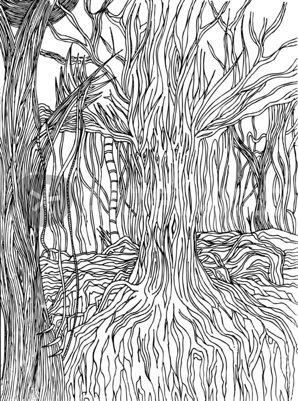 596x800 Mangrove Brazil Drawing Art Prints And Posters - Mangrove Drawing